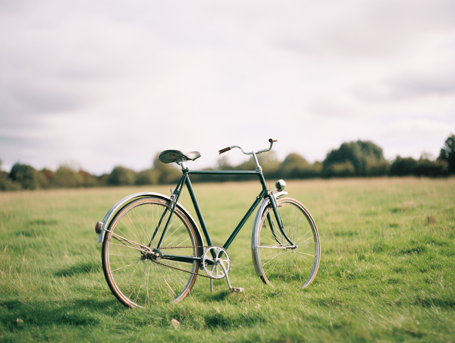 A vintage green bicycle resting in a grassy field
