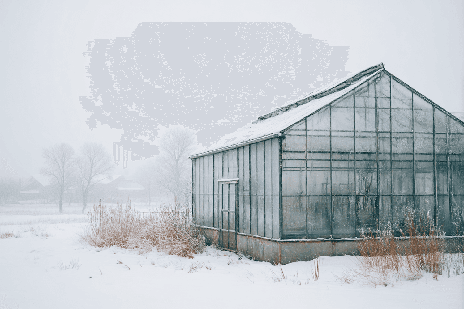A glass greenhouse standing in a snowy, misty field
